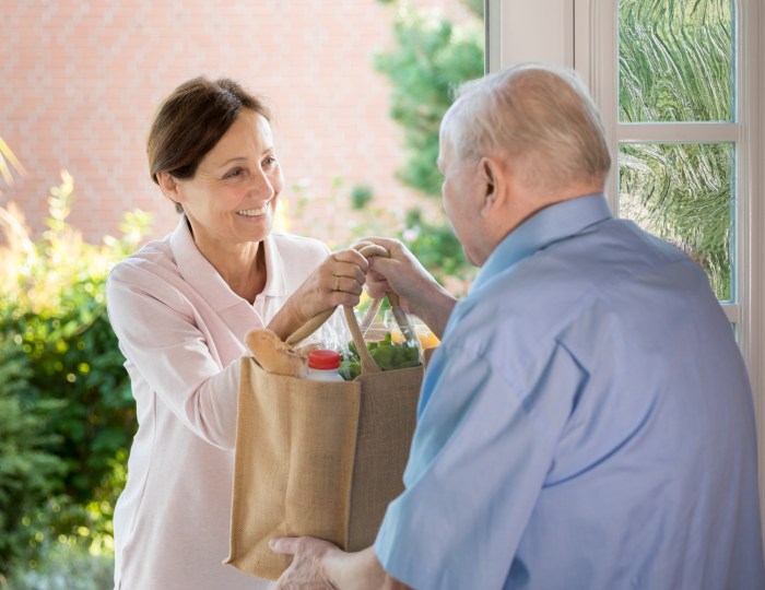 Non-Medical Elderly Home Care Aide - Home Health Care of South Florida ...