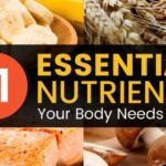 6 Essential Nutrients for a Healthy Body